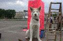 dscn7562