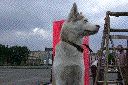 dscn7563