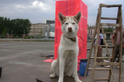 dscn7562