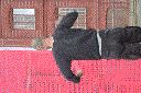 dscn7572