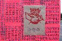 dscn7576