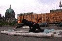 dscn7602
