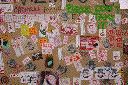 dscn7608