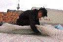 dscn7620
