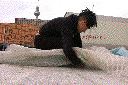 dscn7621